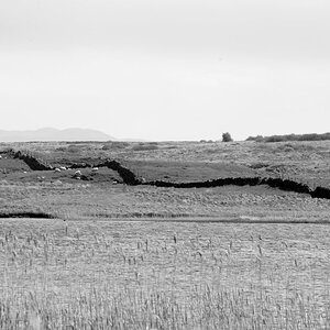 Finnlagan - Islay - Schottland