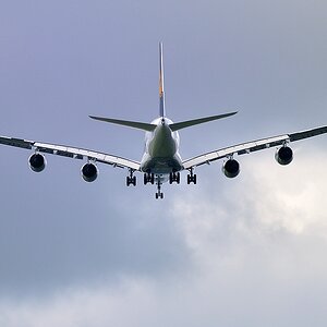 Abflug web