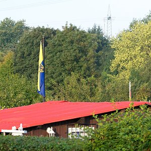 Flagge Stadt Essen