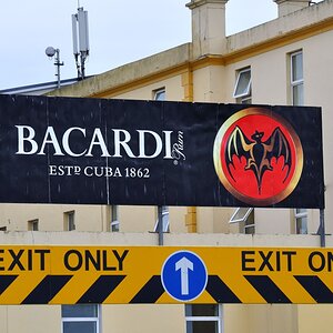bacardi2