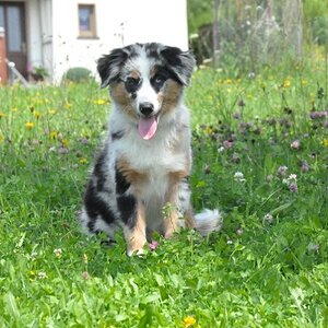 Unsere Indy