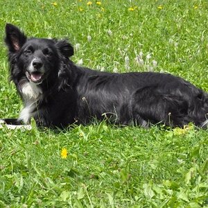 Die Mutter