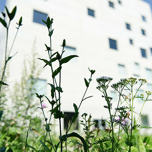 20100821 2 [NIKON D3] 24 mm,1 5000 Sek. bei f   2,8 1
