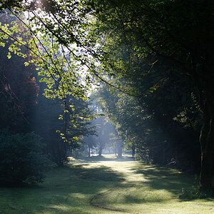 morgenlicht 1177 lzn