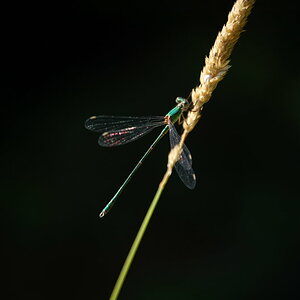 5387 1