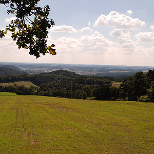 WB Fernblick  Graukarte