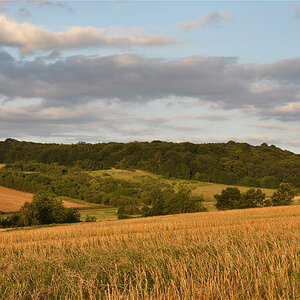 Landschaft