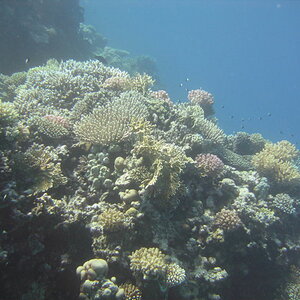 IMG 7879 3