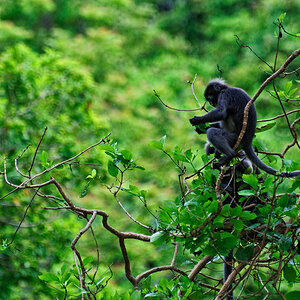 Koh Phangan 7