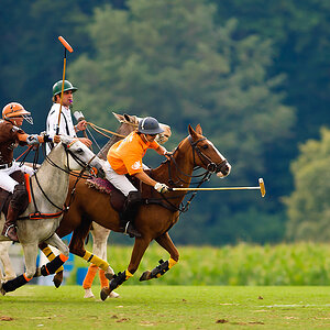 20100801 1351 [NIKON D2Xs],300 mm,1 640 Sek. bei f   2,8