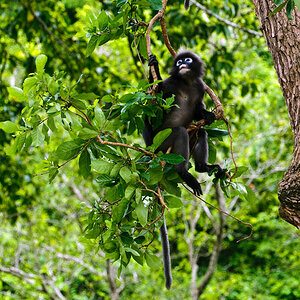 Koh Phangan 10