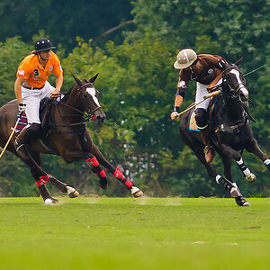 20100801 1360 [NIKON D2Xs],300 mm,1 1000 Sek. bei f   2,8