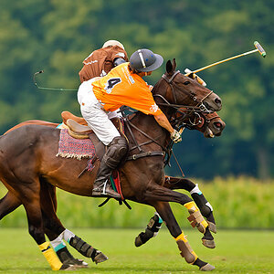 20100801 1377 [NIKON D2Xs],300 mm,1 1000 Sek. bei f   2,8