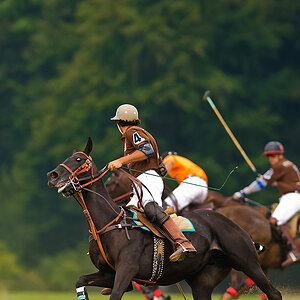 20100801 1416 [NIKON D2Xs],300 mm,1 750 Sek. bei f   2,8
