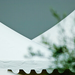 20100801 1632 [NIKON D2Xs],420 mm,1 2500 Sek. bei f   4,0
