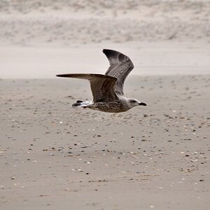 DSC 5283ab