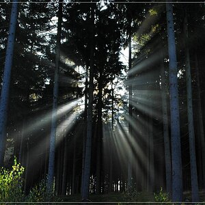Licht