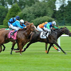 20100815 143753 galopprennen 16