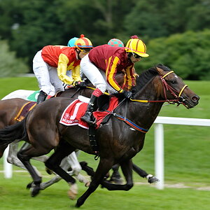 20100815 151131 galopprennen 20