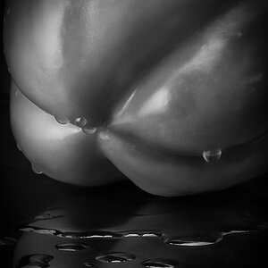 100821 231607 helicon bw