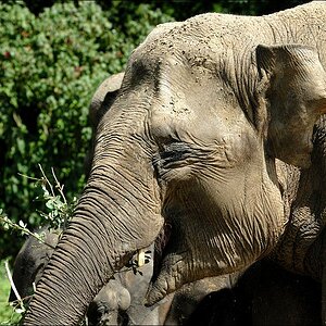 Zoo Emmen 15-08-2010