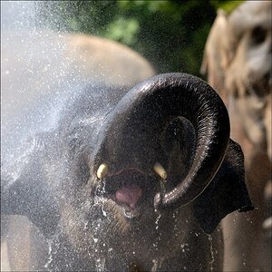 Zoo Emmen 15-08-2010