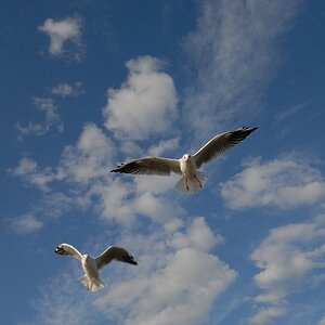 Usedom DSC 5571