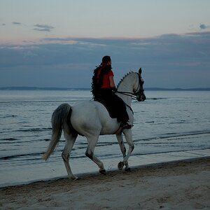 Usedom DSC 4613