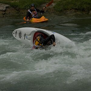 comp Rhein1
