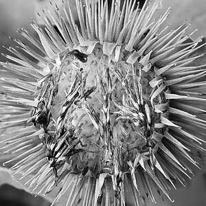 20080720 3644 [D300]   F5.6 17.00mm