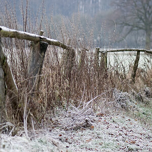 20081213 0085 [D40]   F2,8 105,00mm