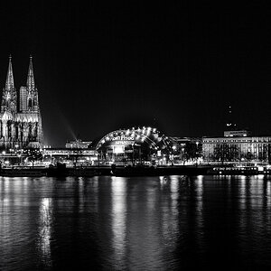 DSC 9041 39 40 2sw