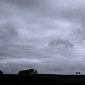 DSC 9126