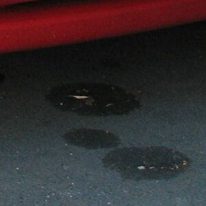 comp pic3