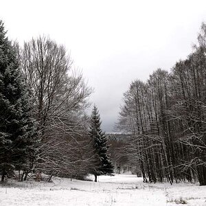 Winterlandschaft - exifs out of control