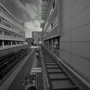 DSC2618