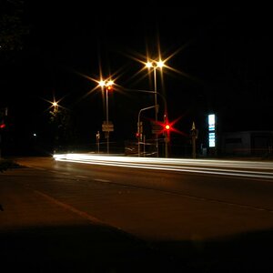 DSC 5555