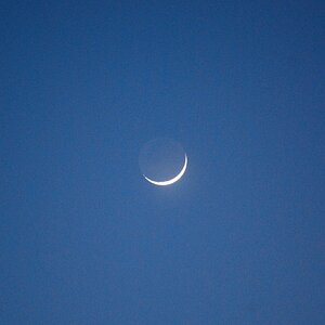 Mond1, 2010