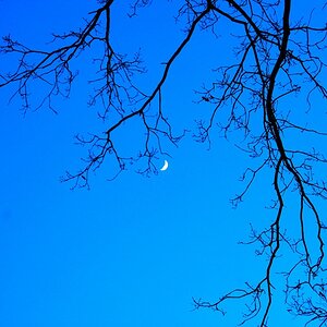 Mond 2, 2009