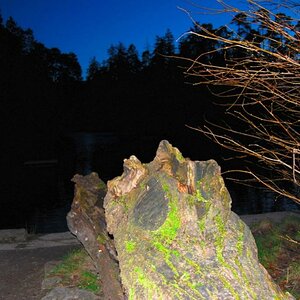Ein Stein am See, 2009