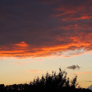 Himmel rot, 2009