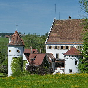 DSCF0703