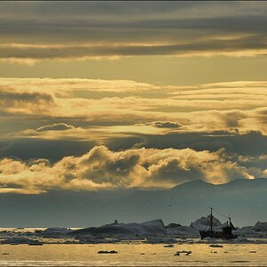 acomp groenland 10518