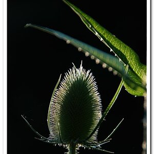 001 (4)