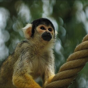 Zoo Emmen 15-08-2010