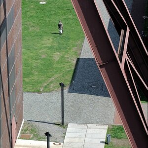 Blick von der Kohlenwäsche - Zeche Zollverein 08/2010