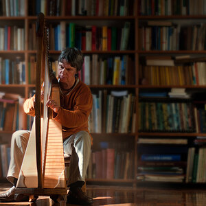 harpist