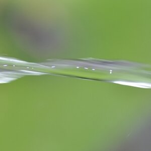 rechtsdrehendes Wasser?