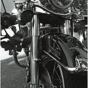 harley