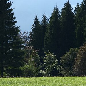 NFFcomp Nikon 135E 57